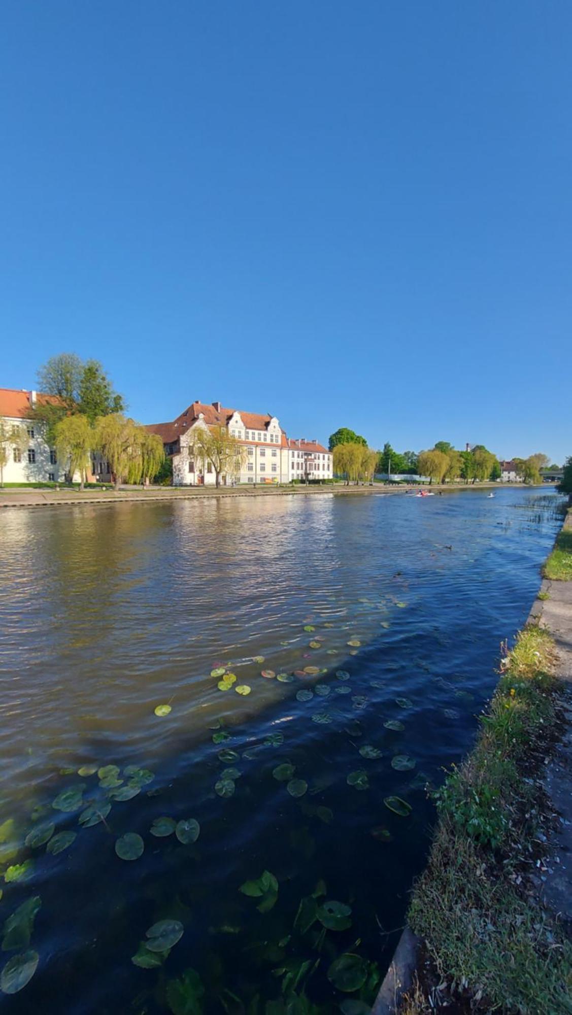Stare Miasto Kwiaty Elblag Luaran gambar